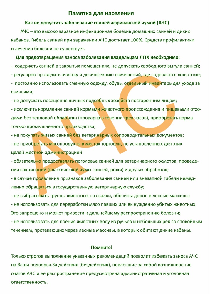 Африканская чума